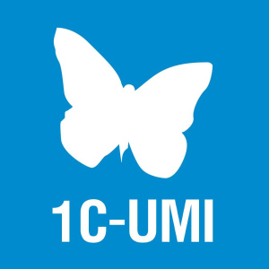 Система управления сайтами UMI.CMS. 1C-UMI Интернет-магазин PRO на 12 месяцев